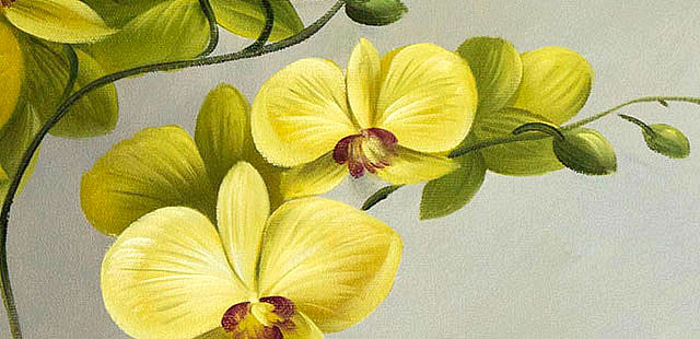0B 《高贵兰花》 当代油画家 王露露 花卉写实油画